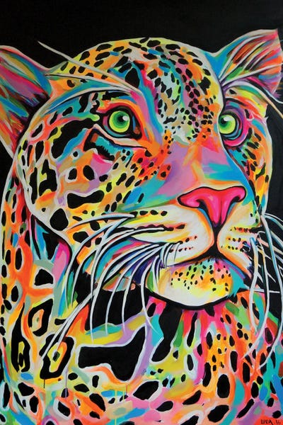 Leopards: Leopard by Natmir Lura