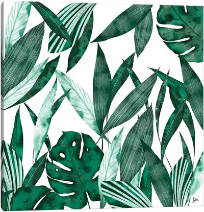 Evergreen II Canvas Art Print - Natxa