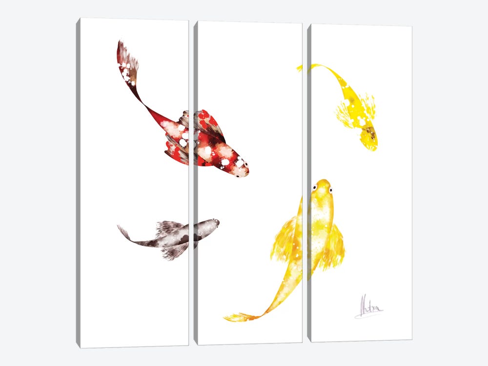 Koi White 3-piece Canvas Print