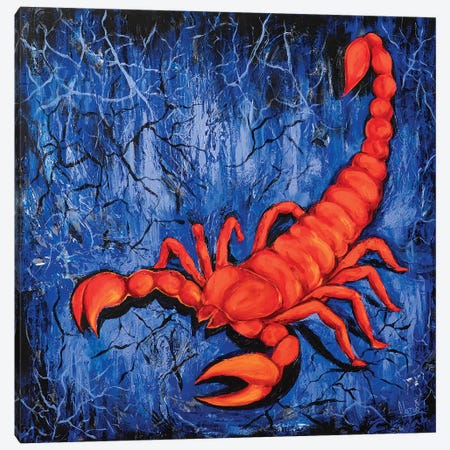 Scorpio Canvas Print #NTX65} by Natxa Art Print