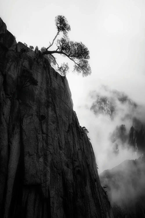 Mt. Huang by Cher Gu wall art