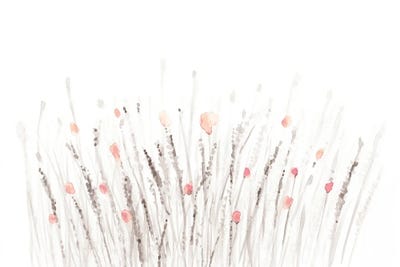 Botanical II by Nouveau Prints art print