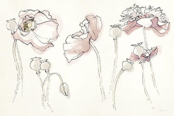 Shirley Novak: Somniferums Neutral Crop by Shirley Novak