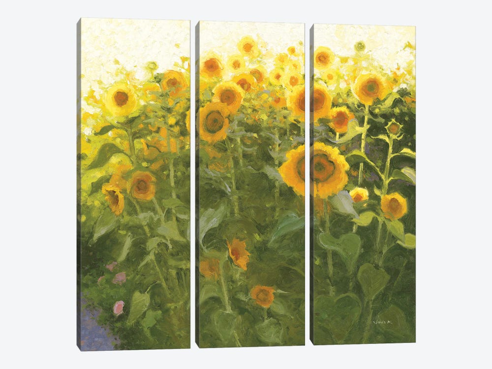 Sunflower Field 3-piece Canvas Artwork