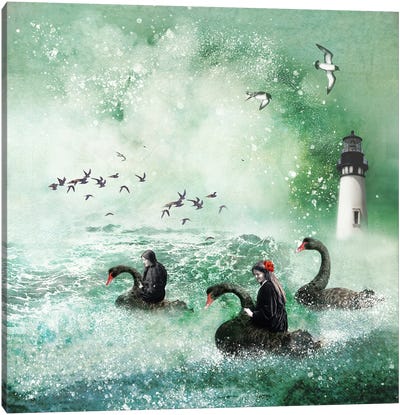 The Sea In Berwick Canvas Art Print - Gull & Seagull Art