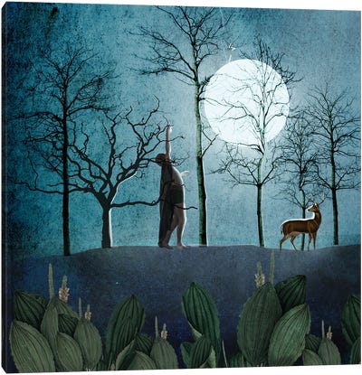 Dark Forest Chants Canvas Art Print - Nika Novich