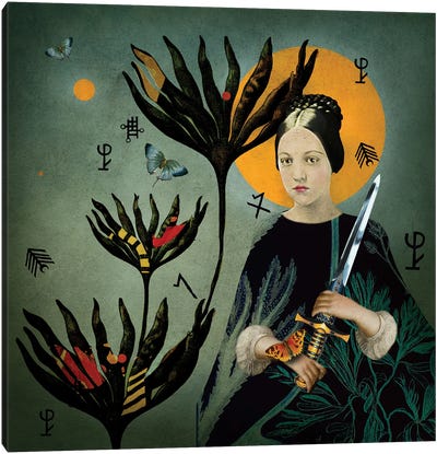 The Queen Of Swords Canvas Art Print - Nika Novich