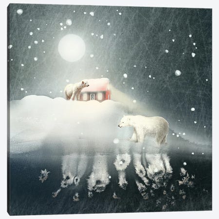 Polar Nights Canvas Print #NVC84} by Nika Novich Canvas Print