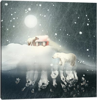 Polar Nights Canvas Art Print - Snow Art