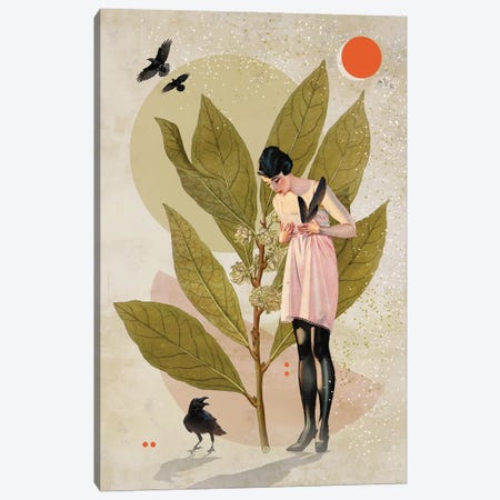 A Girl With Feathers Canvas Print #NVC88} by Nika Novich Canvas Art
