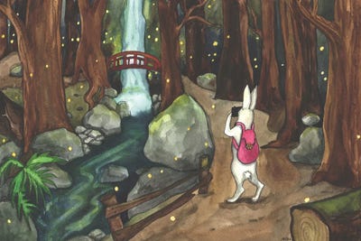 Woodland Waterfall by Nakisha VanderHoeven framed canvas print