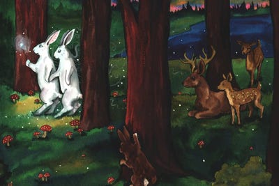 Fairy Tale by Nakisha VanderHoeven canvas print