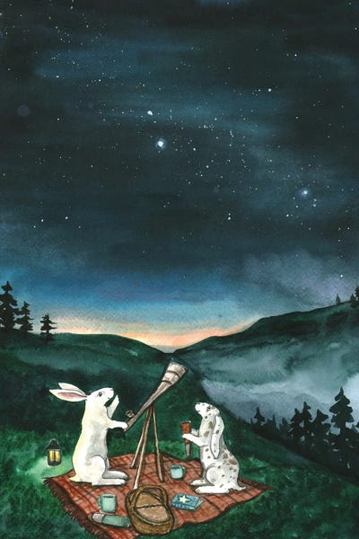 Animal Illustrations: The Astronomers by Nakisha VanderHoeven