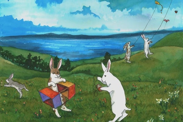 Animal Illustrations: Box Kite by Nakisha VanderHoeven