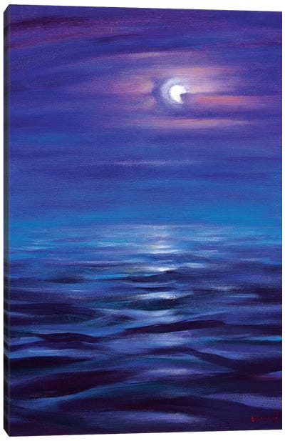 Blue Horizon Of The Night Canvas Art Print - Novik