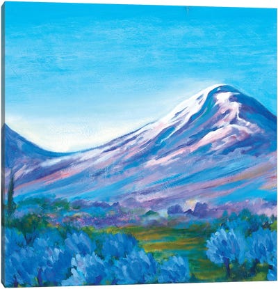 Valley Of Holy Mountain Canvas Art Print - Novik