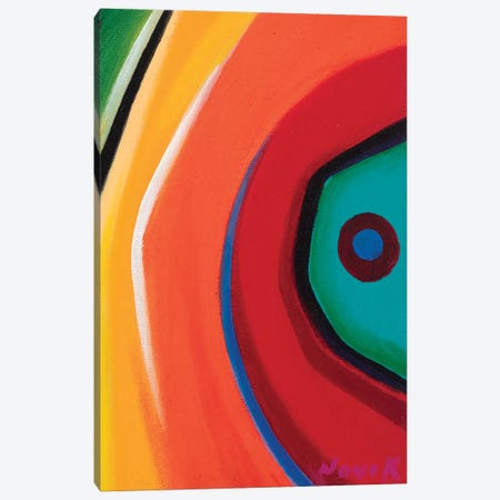 Eye Of Color Canvas Print #NVK43} by Novik Canvas Art