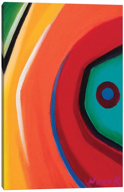 Eye Of Color Canvas Art Print - Novik