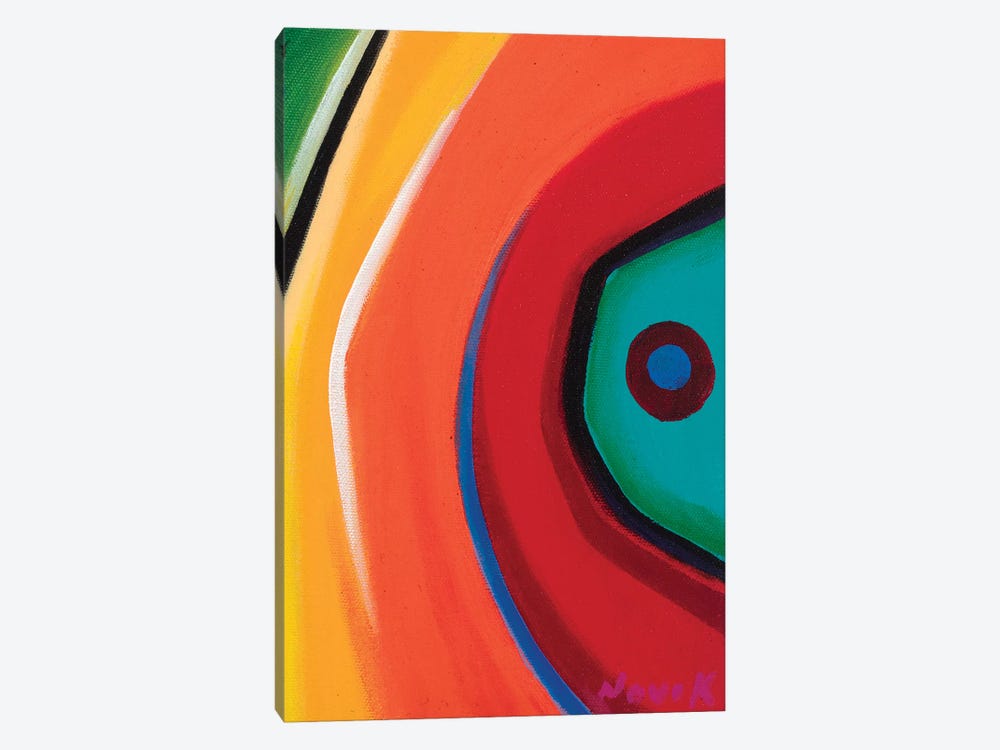 Eye Of Color by Novik 1-piece Canvas Art Print