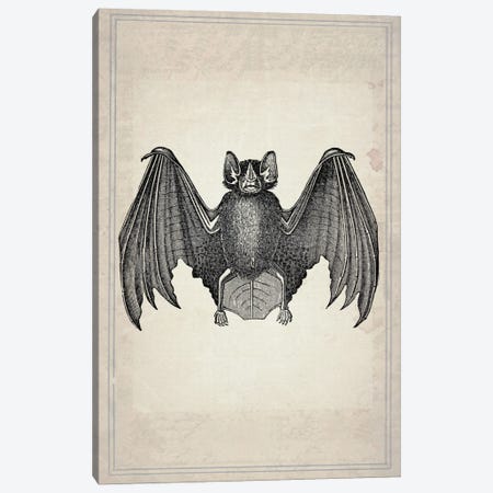 Bats II Canvas Print #NWE5} by Natasha Wescoat Art Print