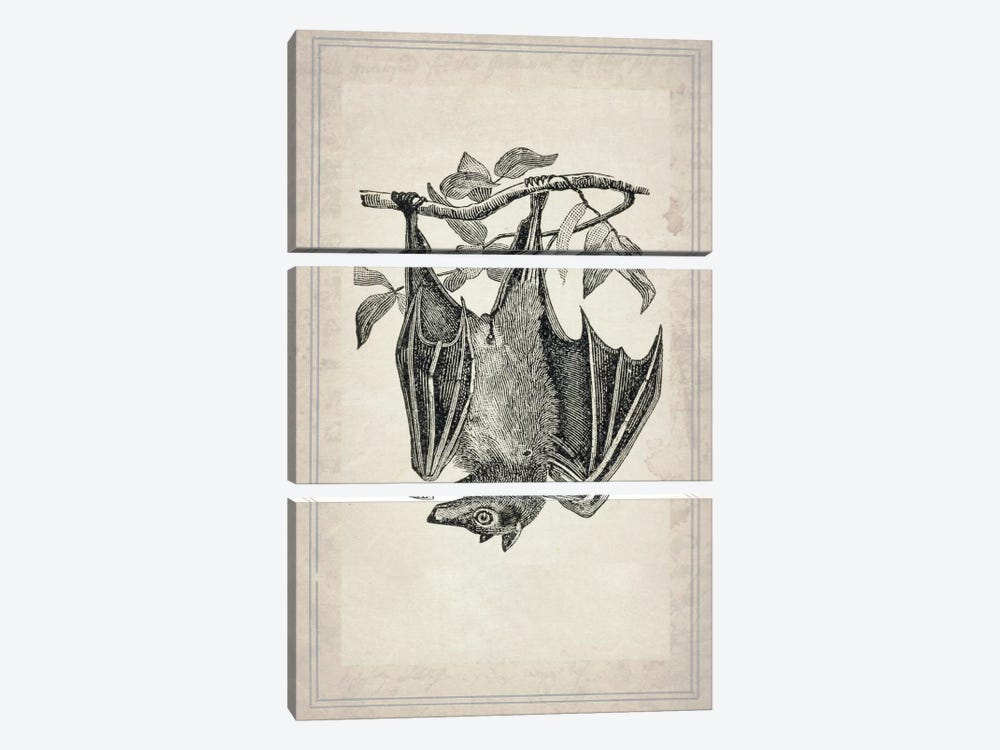Bats IV by Natasha Wescoat 3-piece Canvas Art Print