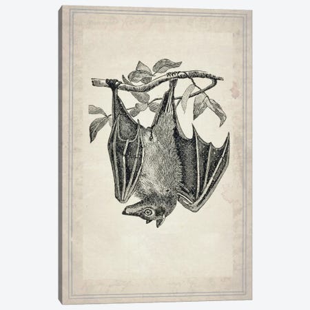 Bats IV Canvas Print #NWE6} by Natasha Wescoat Canvas Art Print