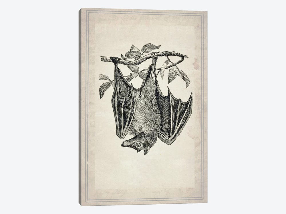 Bats IV by Natasha Wescoat 1-piece Canvas Art Print