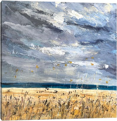 Storm Clouds Over The Beach Canvas Art Print - Nikki Wheeler