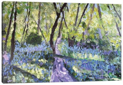 Bluebell Path Canvas Art Print - Nikki Wheeler