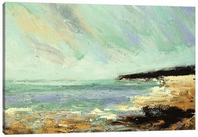 Calm Coast Canvas Art Print - Nikki Wheeler