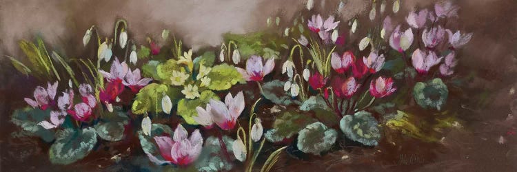 January- Cyclamen And Snowdrops by Nel Whatmore wall art