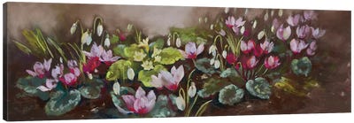 January- Cyclamen And Snowdrops Canvas Art Print - Nel Whatmore