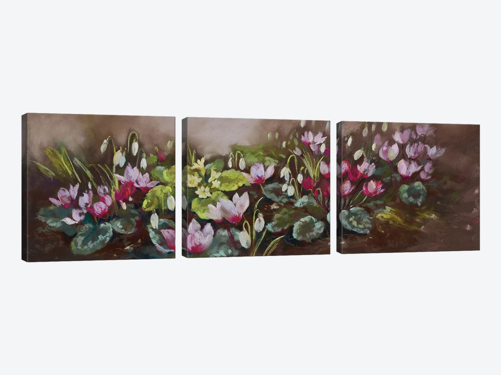 January- Cyclamen And Snowdrops by Nel Whatmore 3-piece Canvas Art