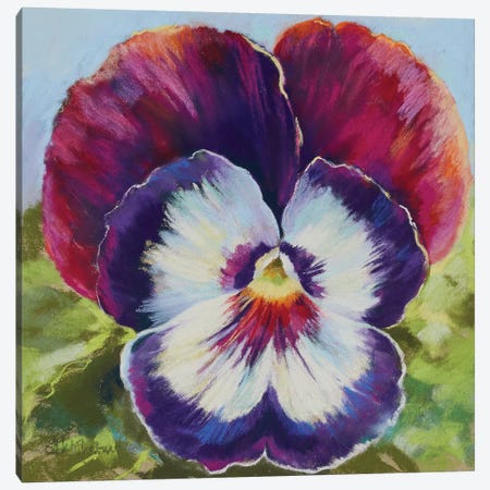 Pansy Smile Canvas Print #NWM109} by Nel Whatmore Canvas Art Print