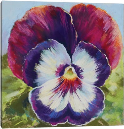 Pansy Smile Canvas Art Print - Nel Whatmore