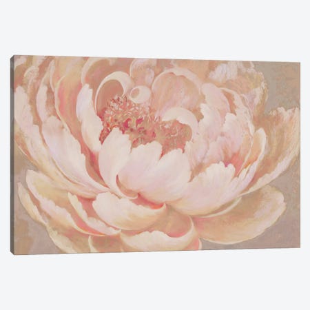 Coral Charm Canvas Print #NWM127} by Nel Whatmore Canvas Artwork