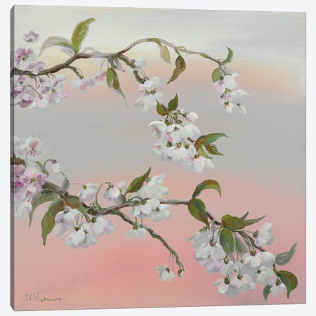Falling Blossom Canvas Print #NWM131} by Nel Whatmore Canvas Art