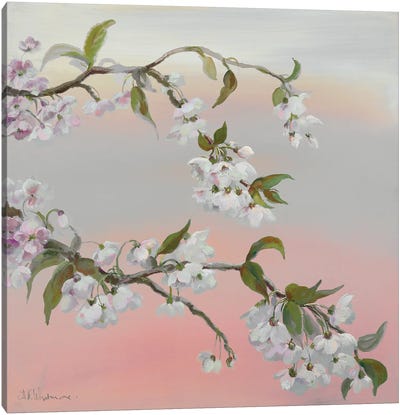 Falling Blossom Canvas Art Print - Nel Whatmore