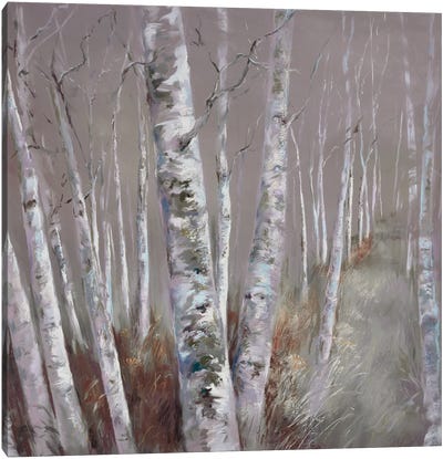 Precious Trees Canvas Art Print - Birch Tree Art
