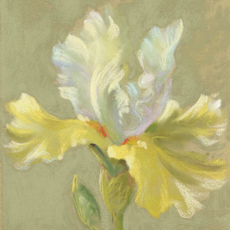 Boudillon II by Nel Whatmore wall art