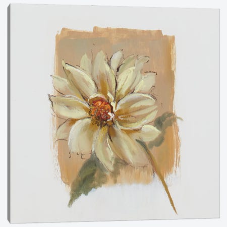Dahlia And Cosmos III Canvas Print #NWM145} by Nel Whatmore Canvas Art