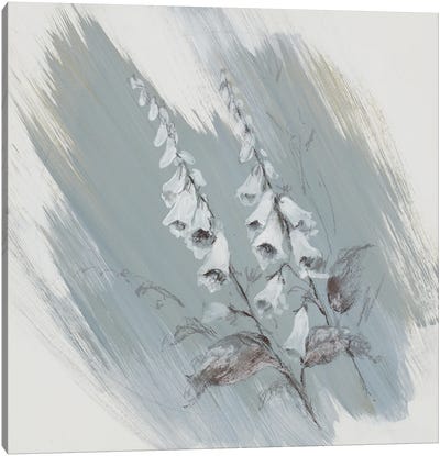 Garden Diary Fox Glove Canvas Art Print - Botanical Illustrations