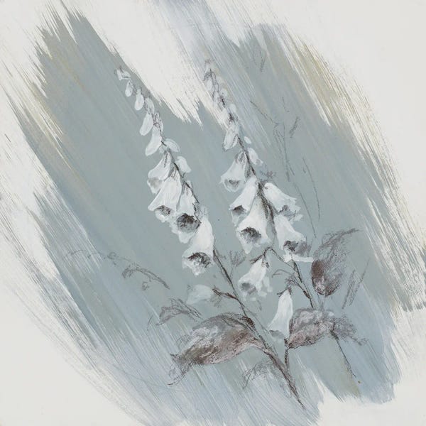 Illustrations: Garden Diary Fox Glove by Nel Whatmore