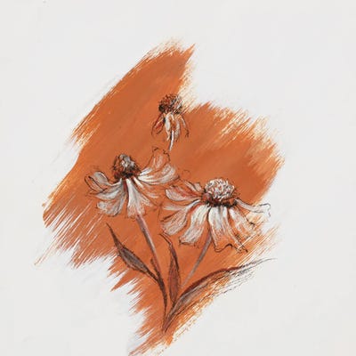 Garden Diary Hellinium by Nel Whatmore art print