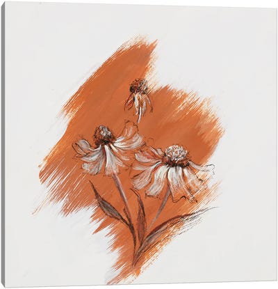 Garden Diary Hellinium Canvas Art Print - Botanical Illustrations
