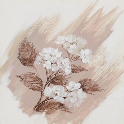 Garden Diary Hydrangea by Nel Whatmore art print