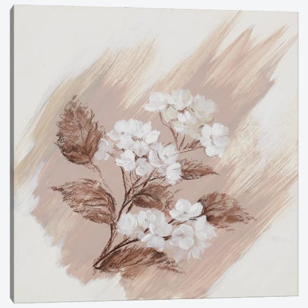 Garden Diary Hydrangea Canvas Print #NWM149} by Nel Whatmore Canvas Art Print