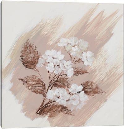 Garden Diary Hydrangea Canvas Art Print - Illustrations 
