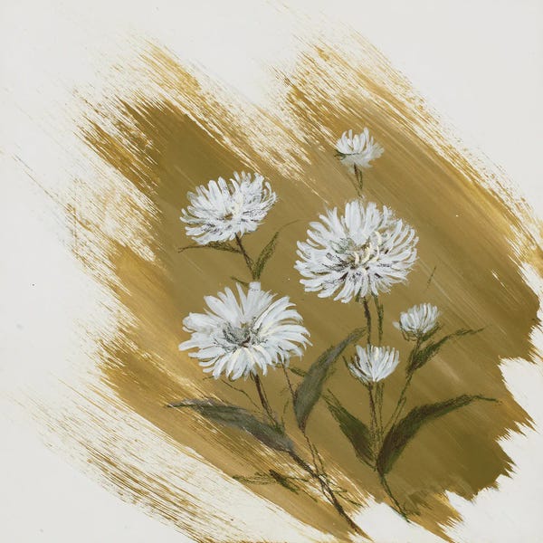 Illustrations: Garden Diary Michaelinas Daisy by Nel Whatmore