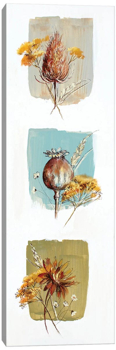 Garden Diary Seed Heads Canvas Art Print - Botanical Illustrations